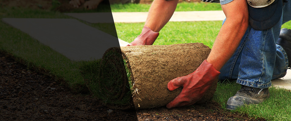 Fletcher Landscapers